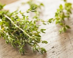 The Best Herbs to Grow In the Fall | Direct Energy Blog