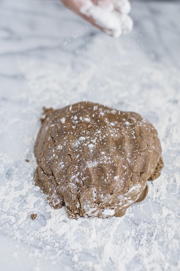 Gingerbread Cookie Recipe