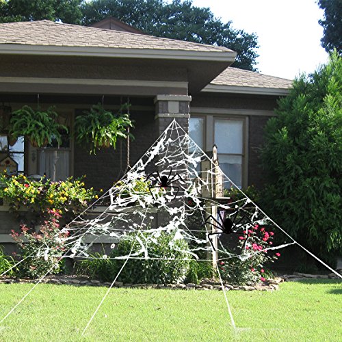 large outdoor spider web decoration