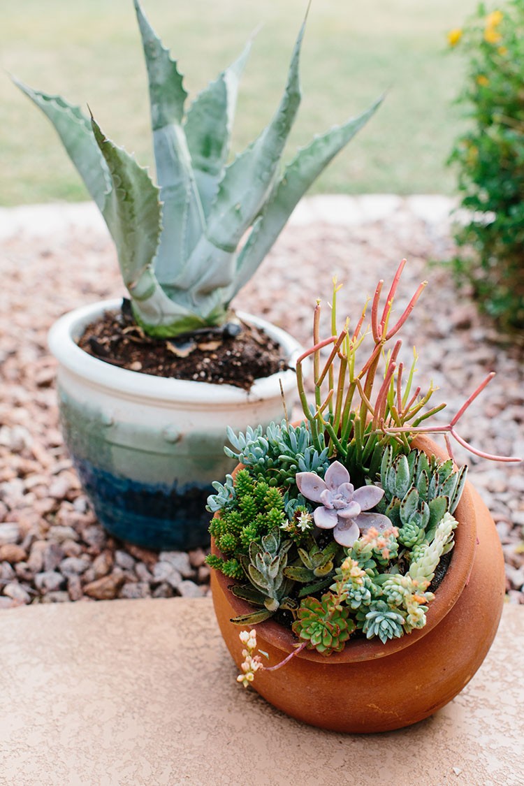 See how Alex Evjen of AveStyles used outdoor patio furniture to transform her backyard into a desert oasis for The Home Depot Patio Style Challenge.