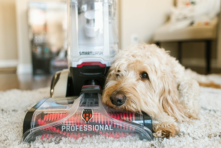 Easy Carpet Cleaning With SmartWash Pet Advance