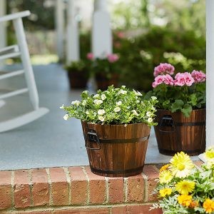 Refresh your patio or porch with new planters and colorful foliage. Choose from a variety of soils for all types of plants and containers.