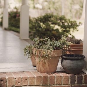 Refresh your patio or porch with new planters and colorful foliage. Choose from a variety of soils for all types of plants and containers.