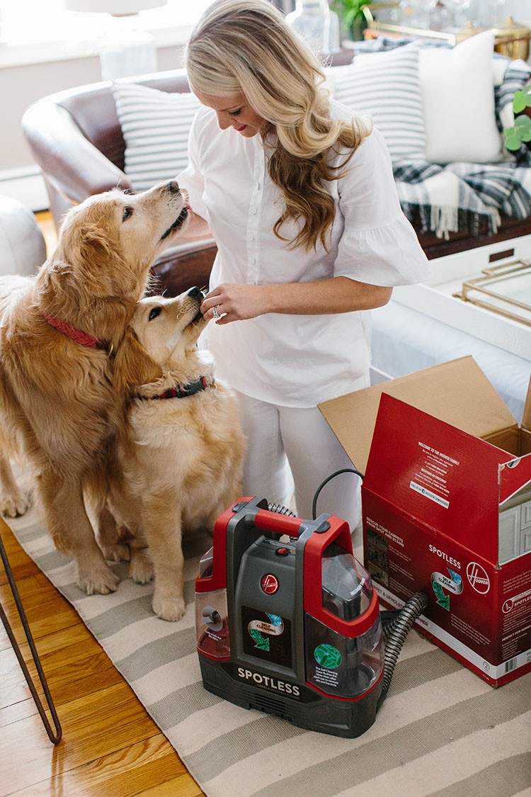 Abby of AbbyCapalbo.com struggle to keep her carpets clean with two dogs running around. Check out how the Hoover Spotless helped save her favorite rug. Spot cleaning made easy!