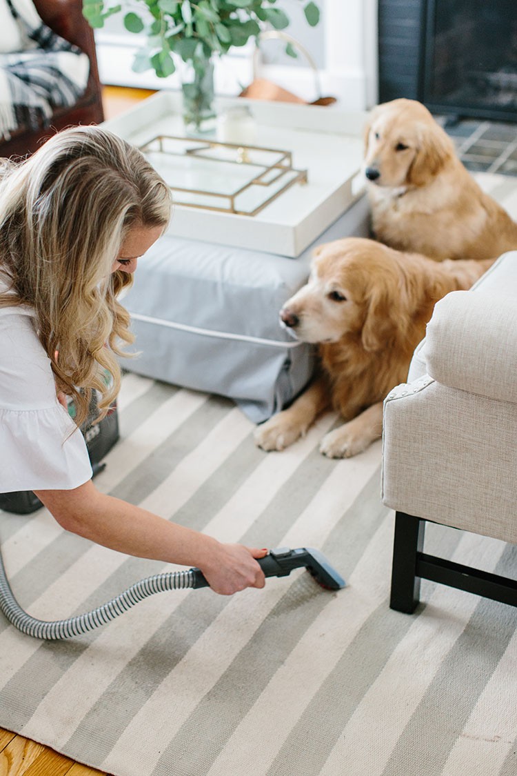 Abby of AbbyCapalbo.com struggle to keep her carpets clean with two dogs running around. Check out how the Hoover Spotless helped save her favorite rug. Spot cleaning made easy!