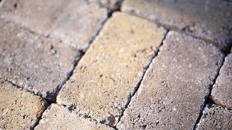 Follow along as Miranda of Live Free Creative Co. transforms her neglected backyard by installing a DIY paver patio with the help of The Home Depot.