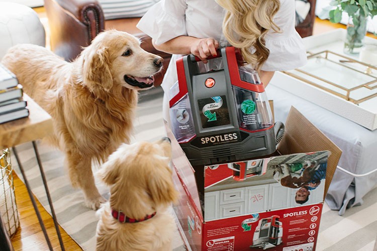 Abby of AbbyCapalbo.com struggle to keep her carpets clean with two dogs running around. Check out how the Hoover Spotless helped save her favorite rug. Spot cleaning made easy!