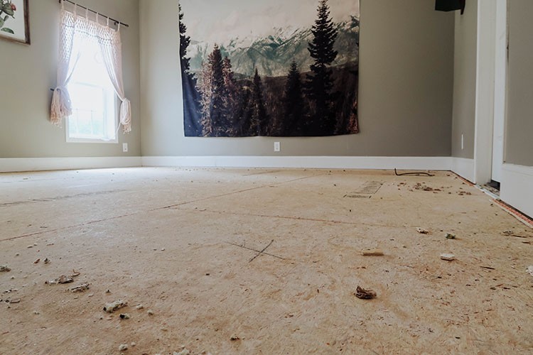 Stains, dirt, and spills are no match for PetProof carpet. Check out how easy it is to keep carpet clean and smelling fresh with PetProof carpet!