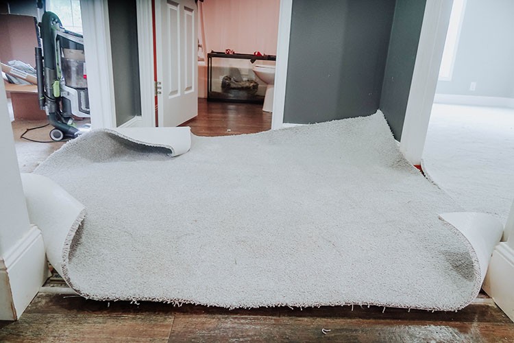 Stains, dirt, and spills are no match for PetProof carpet. Check out how easy it is to keep carpet clean and smelling fresh with PetProof carpet!