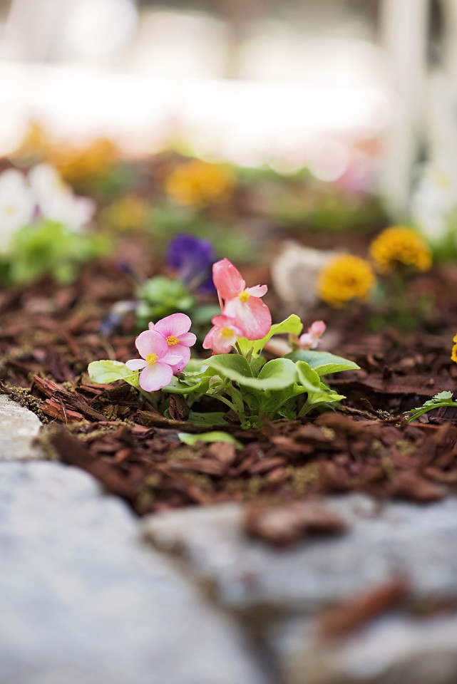 Follow along as Michiel Perry of Black Southern Belle creates a paver patio perfect for entertaining friends and family day or night.