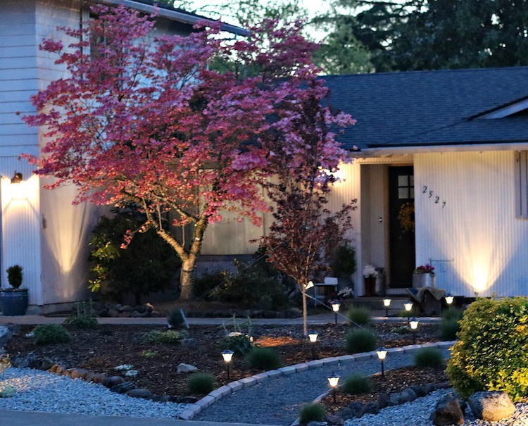 Increase Curb Appeal with Outdoor Landscape Lighting