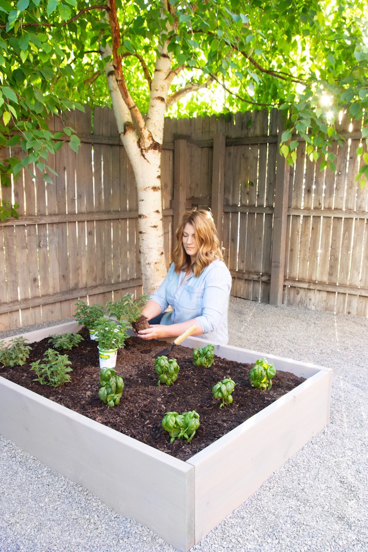 Raised Herb Garden: An Outdoor Space Makeover