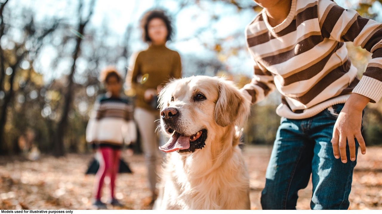 Family in the woods with their labrador retriever.