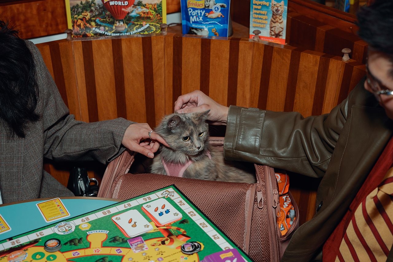 Couple petting their cat in a carrier while attending game night at a friend's house.
