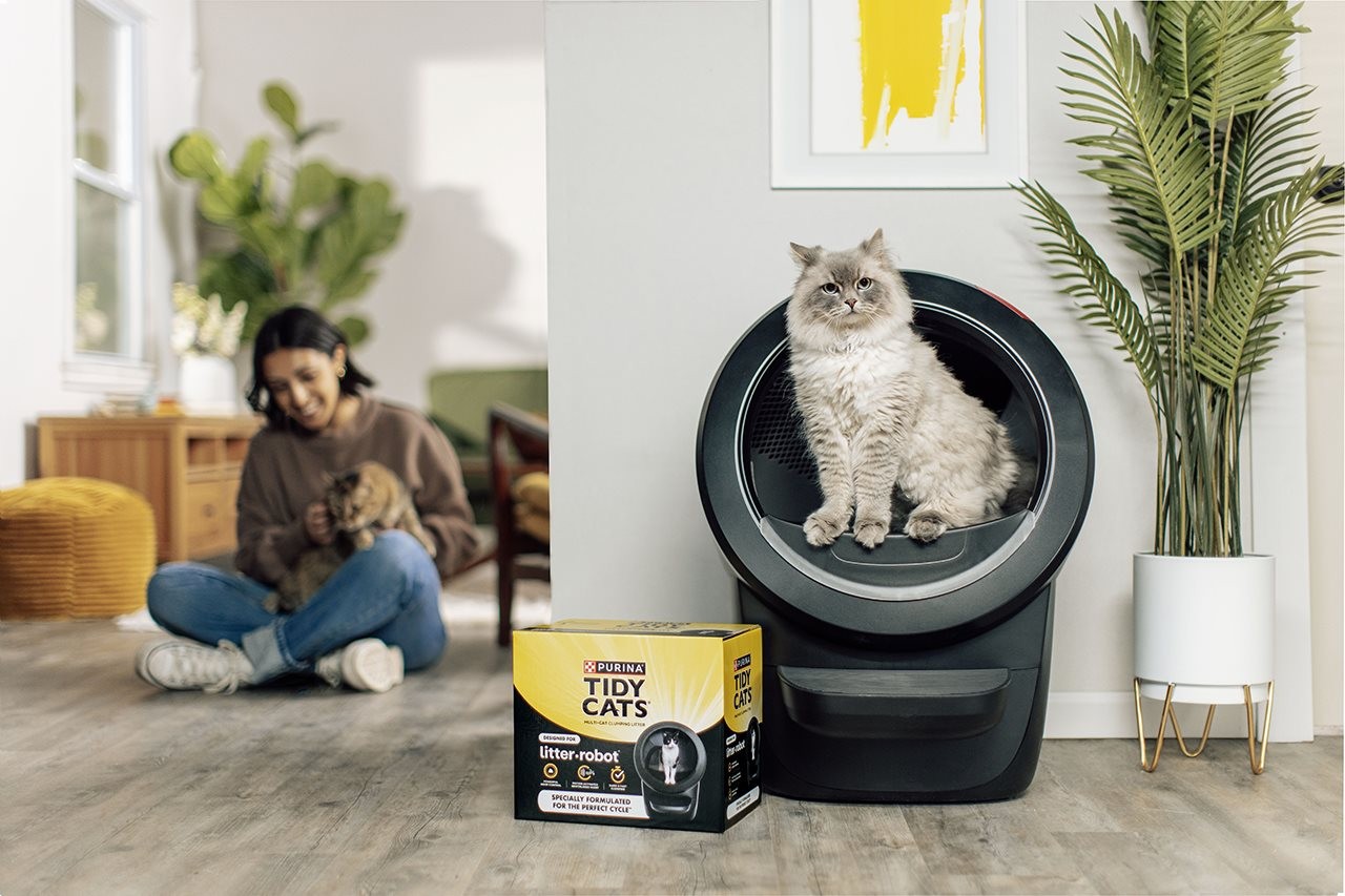 Cat standing up in a cat box with pet parent in the background holdling another cat.