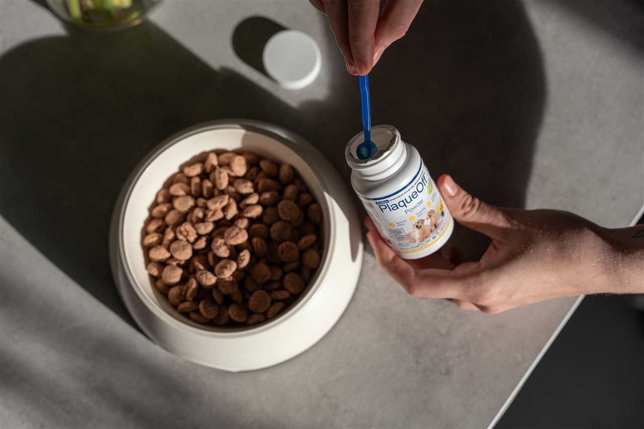 Pet parent adding powder to dogs food