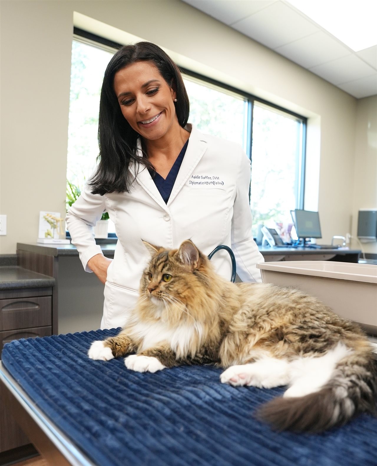 Dr. Ashlie Saffire, DVM, DABVP (Feline), founder and lead veterinarian at the Cat Specialty Center at Faithful Friends Clinic with long haired cat on exam table.