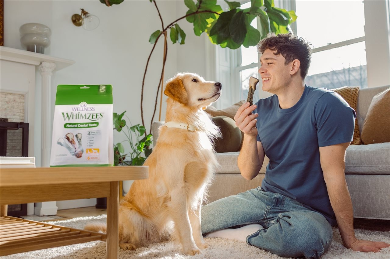 Pet parent holding a dental treat for his dog while sitting on the floor of their living room.