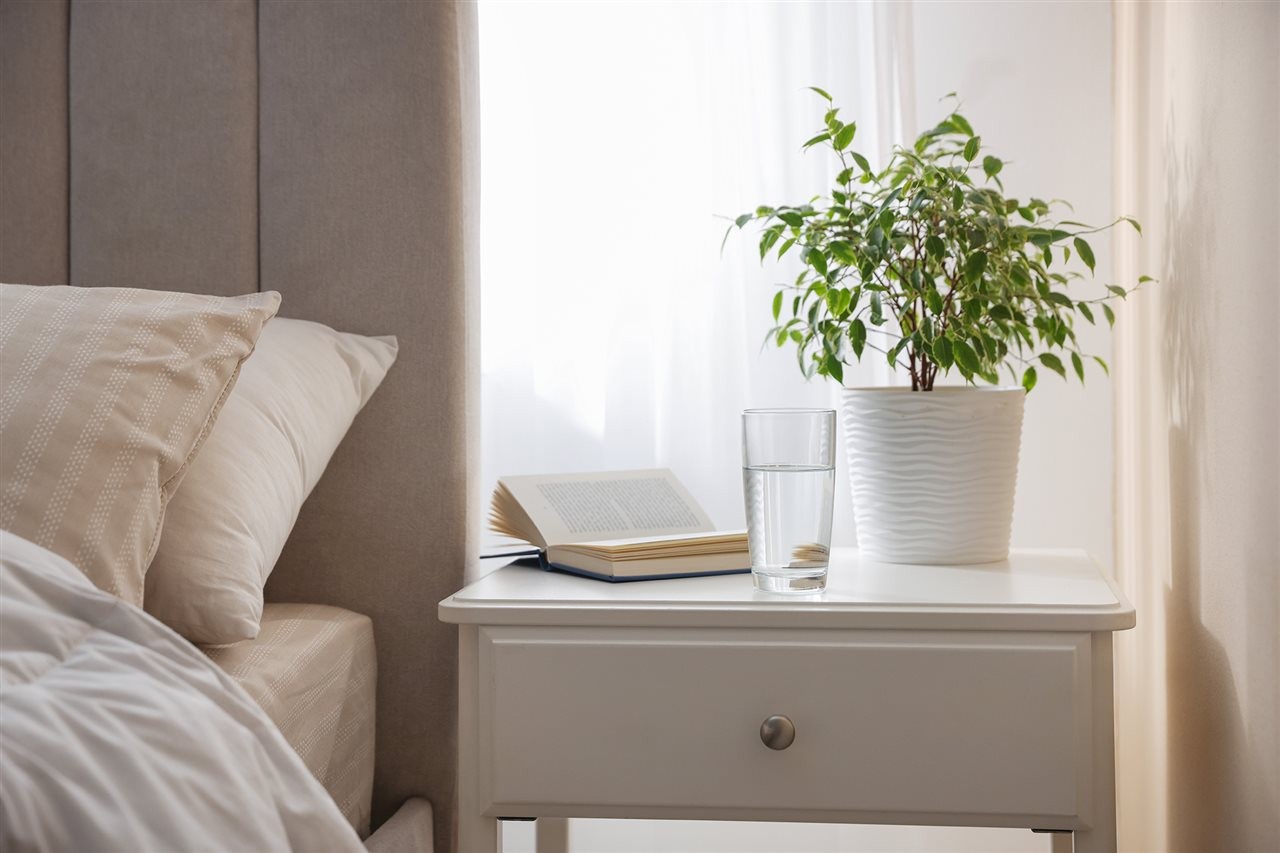 Night stand with a book, glass of water and a plant. ThriftBooks suggests decluttering your nightstand.