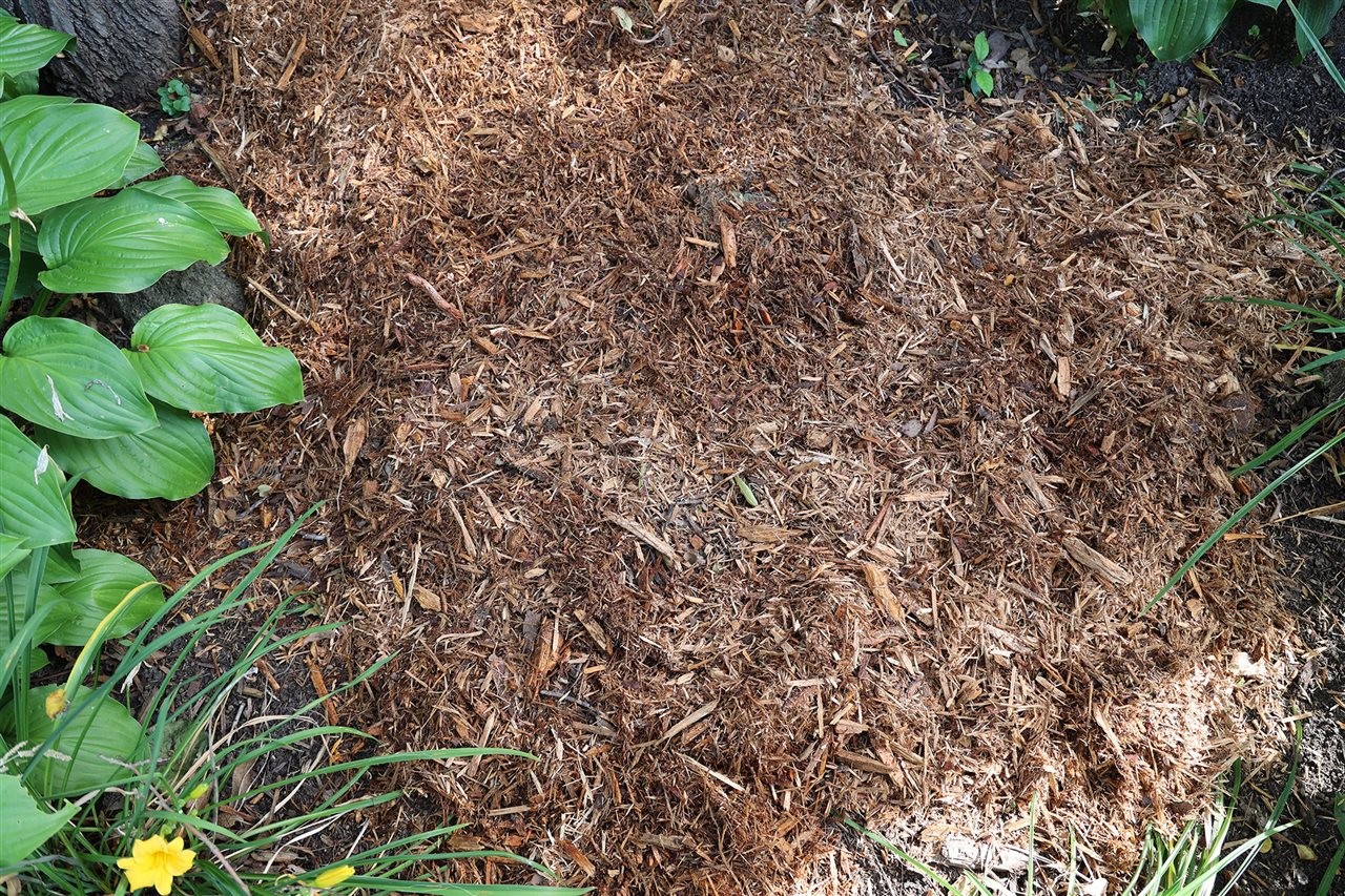 Before image of land scaping prior to application of NorthRock Mulch Renew<sup><sup><sup><sup><sup><sup><sup><sup><sup><sup/>&reg;</sup></sup></sup></sup></sup></sup></sup></sup></sup>, from TCC Materials” width=”600″ border=”0″></div>
<div class=